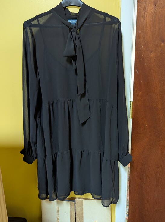 Modcloth Dresses & Skirts - Modcloth Sheer Long-Sleeve Tie-Neck Mesh Dress And Slip - Black